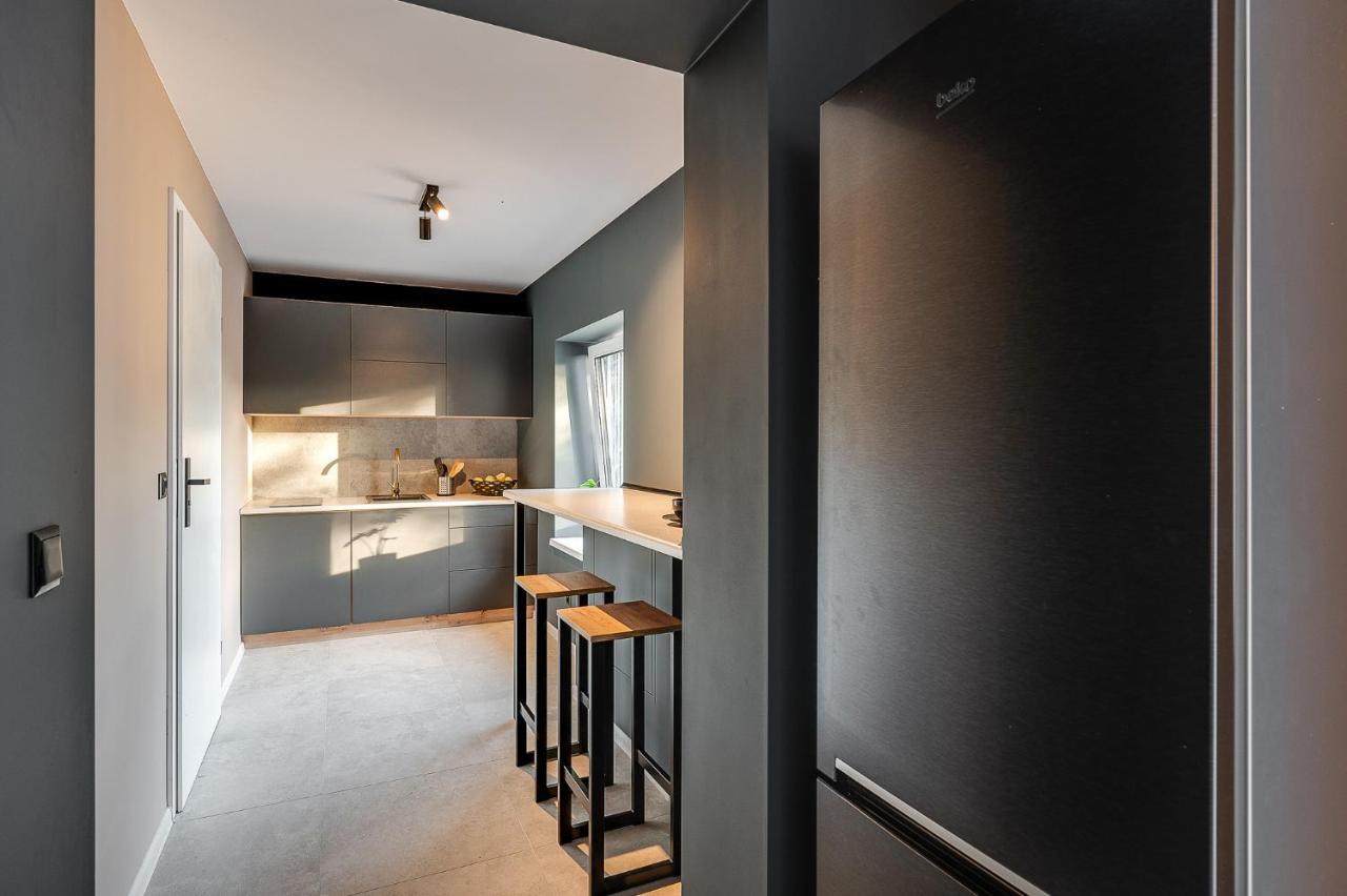 Loft House Apartment Studio Z Ogrodkiem 3 Rybnik  Extérieur photo
